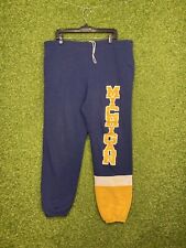 Vintage University Of Michigan Joggers Mens Josten's Sweatpants Size XL USA Made picture
