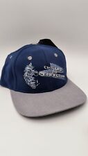 Batman 1997 Mr. Freeze Chilled To Perfection NWT Vintage DC Comics Snapback Hat picture