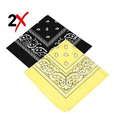 2-Pack Bandana 100% Cotton Paisley Print Double-Sided Scarf Head Neck Face Mask picture