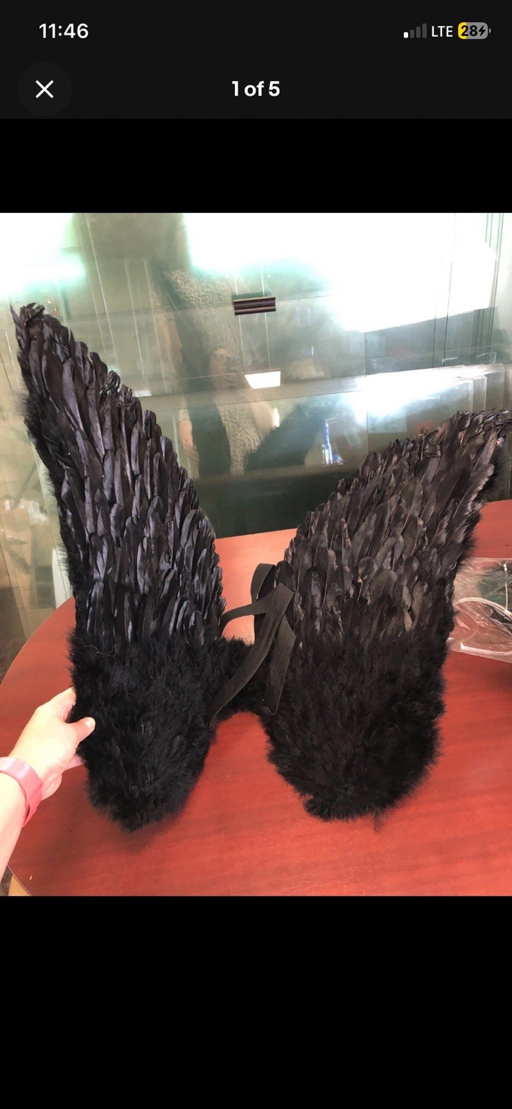 Touch of Nature Black Adult Angel Wings  43\