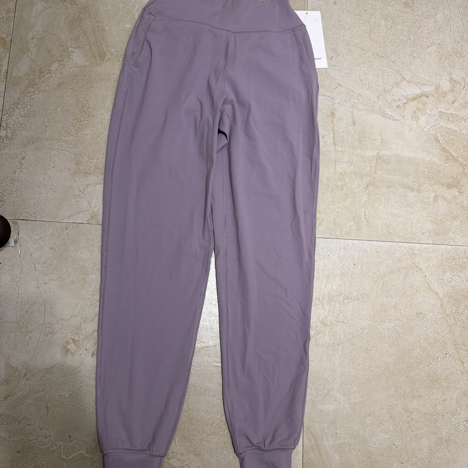 Lululemon Align light purple High-Rise Jogger  women’s Size 2 brand new