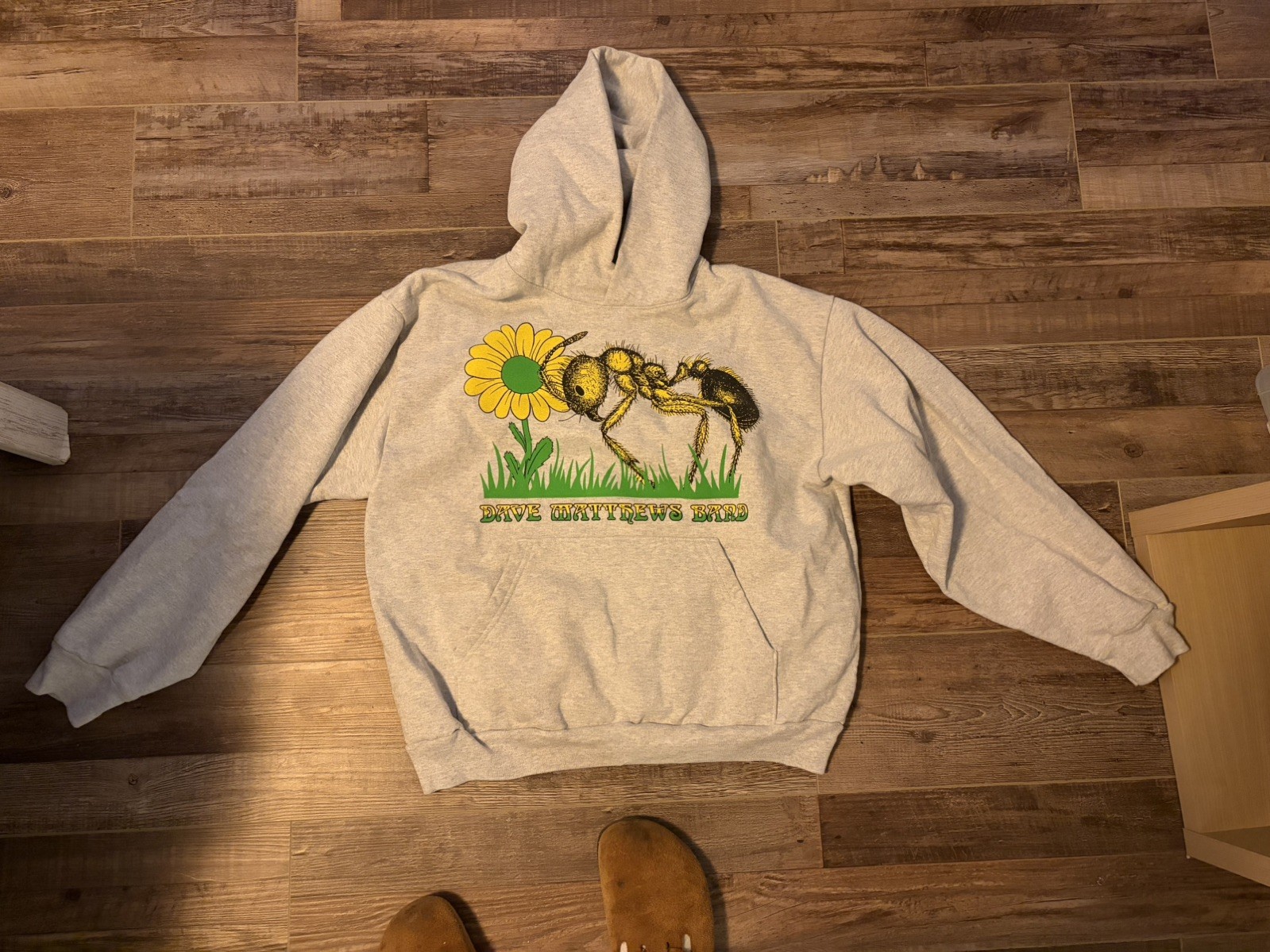 Dave Matthews Band Hoodie Sweatshirt Ants Marching Heavy Cotton Mens Large