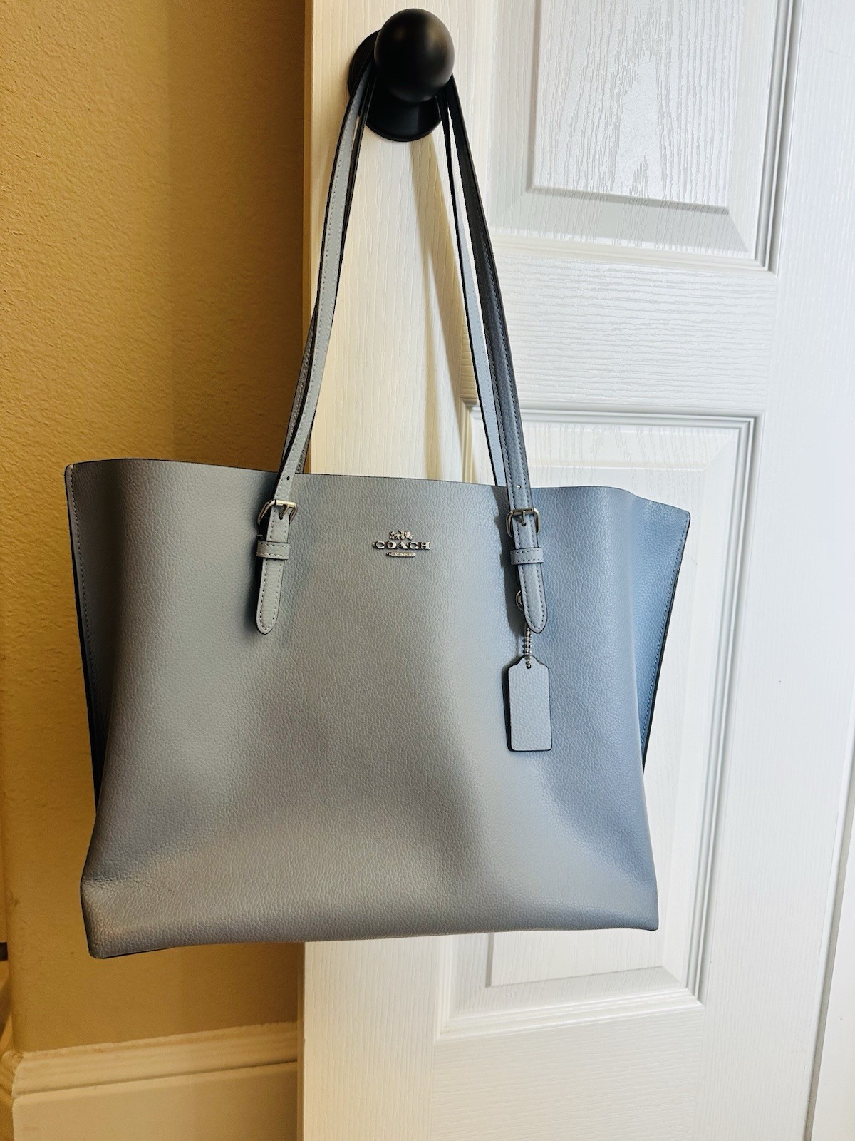 coach bag large