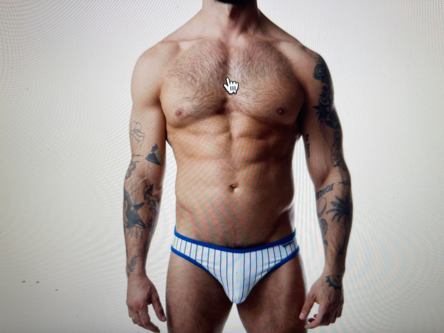 NWT NASTY PIG THIRD BASE PROFILE LOW RISE BRIEF/WHT/QUATZ BLU  S/RECENT/SOLD OUT