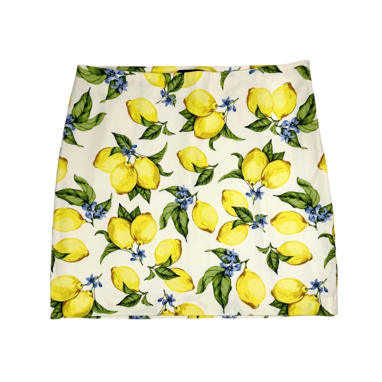 NWT Talbots Lemon Print A Line Skirt Size 16 Petite Canvas Market Resort Picnic