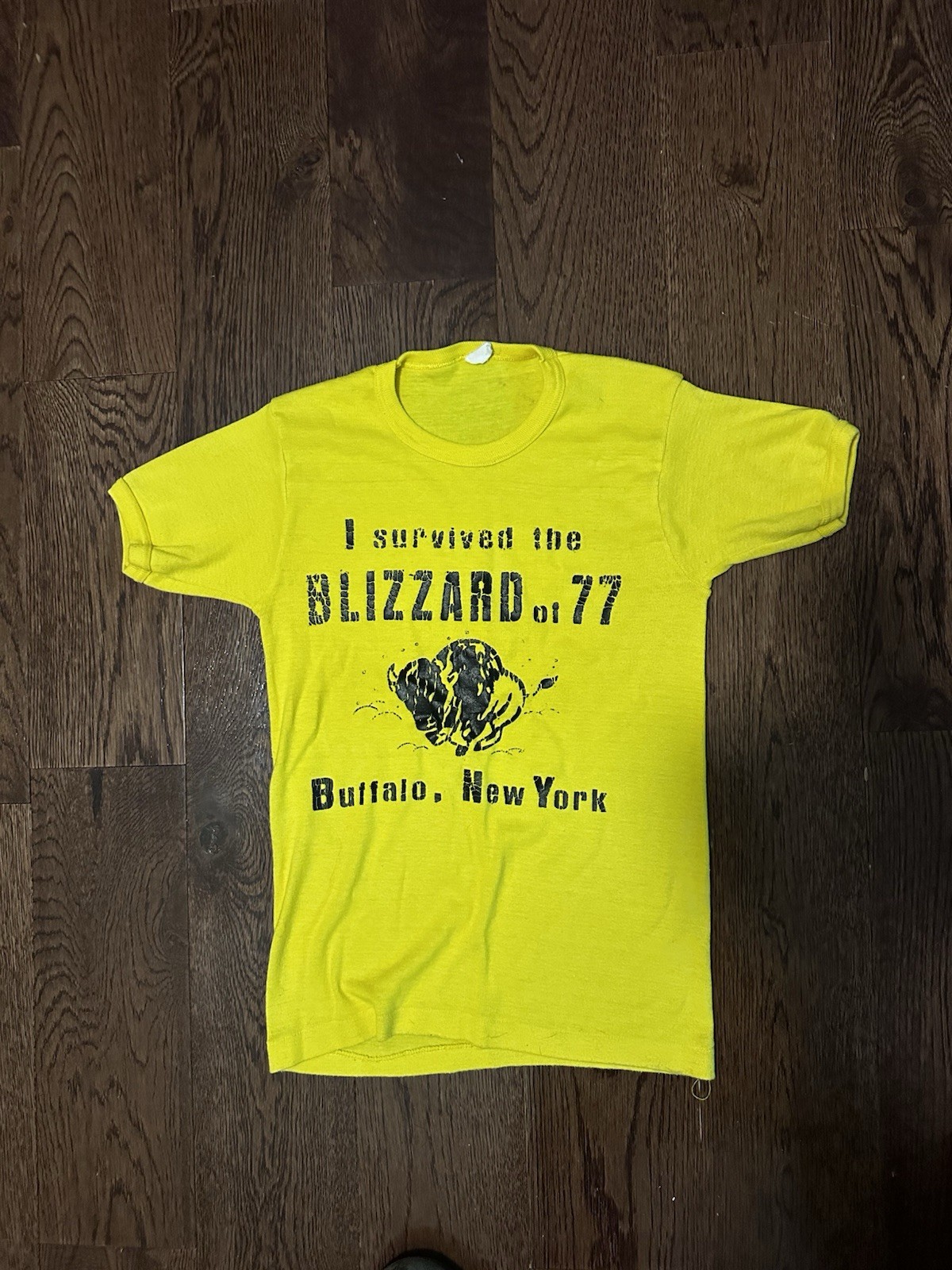 Vintage Blizzard Of 77 Shirt Tshirt very small adult or kids. See sizing