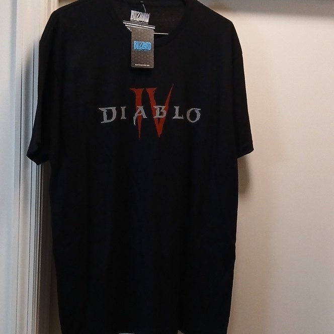 Blizzard Entertainment Diablo IV Mens XL Black Graphic Logo Crew Neck Tee #235
