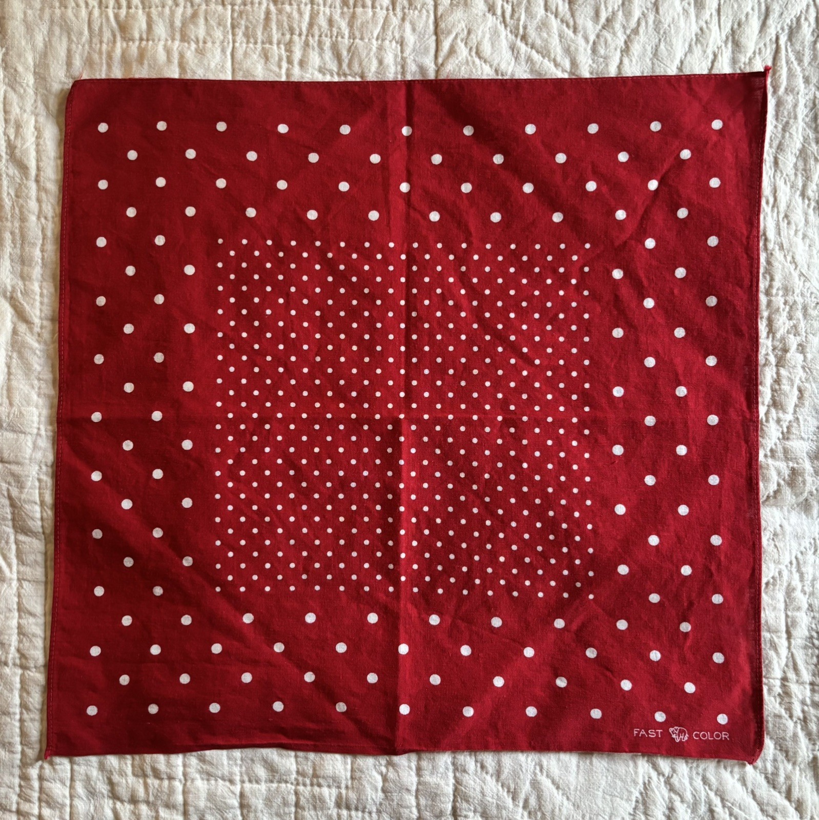 Vintage 1930s Elephant Trunk Down Bandana Polka Dot Selvedge