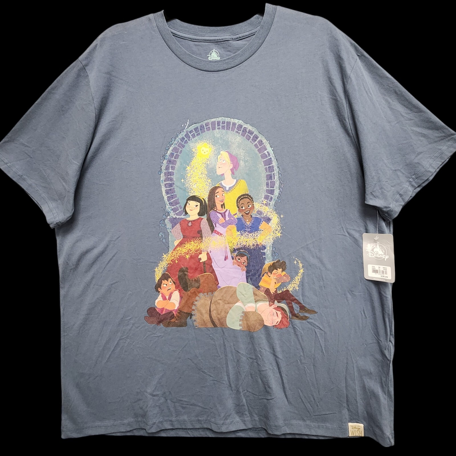 Disney WISH Asha & Friends Shirt Mens XL Blue Cotton Graphic Tee NEW w/ Tag
