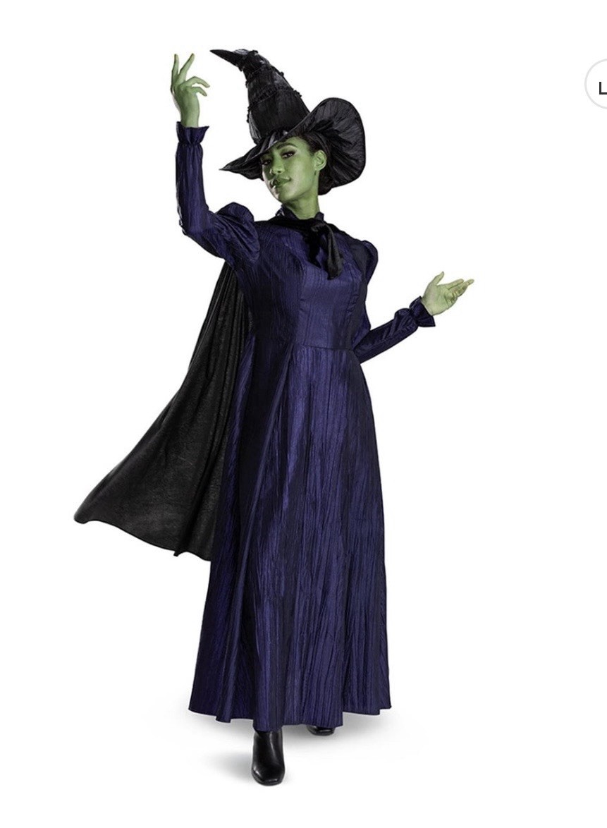 🔥DEAL🔥NWT Wicked Elphaba Deluxe (excellent Quality) ADULT  Costume L (12-14)