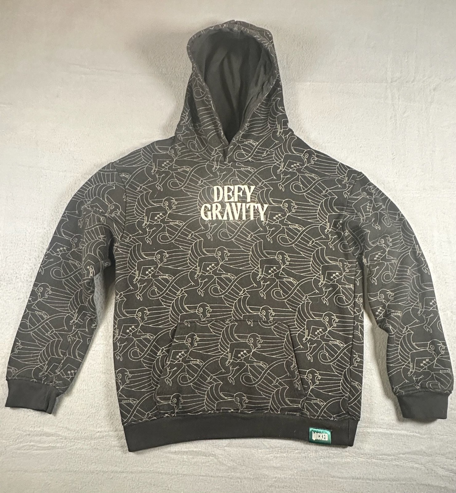 Wicked A Collection From Paul Tazewell Defy Gravity Hoodie Size XL