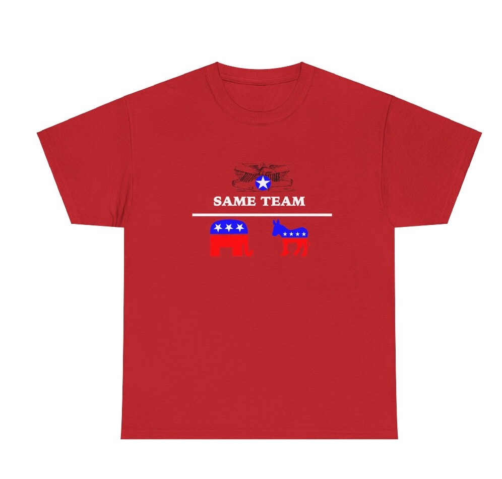 Same Team | 2024 USA Election Red Tee | S-XXL