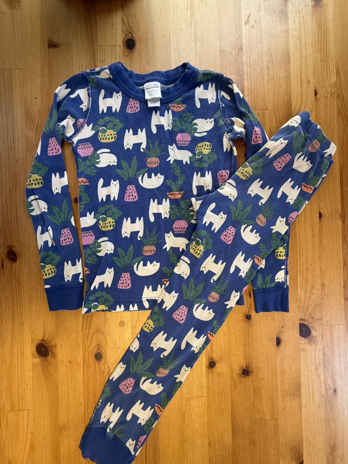 Hanna Andersson White Cat Plants Organic Cotton Pajama Set Light Blue US 8 130