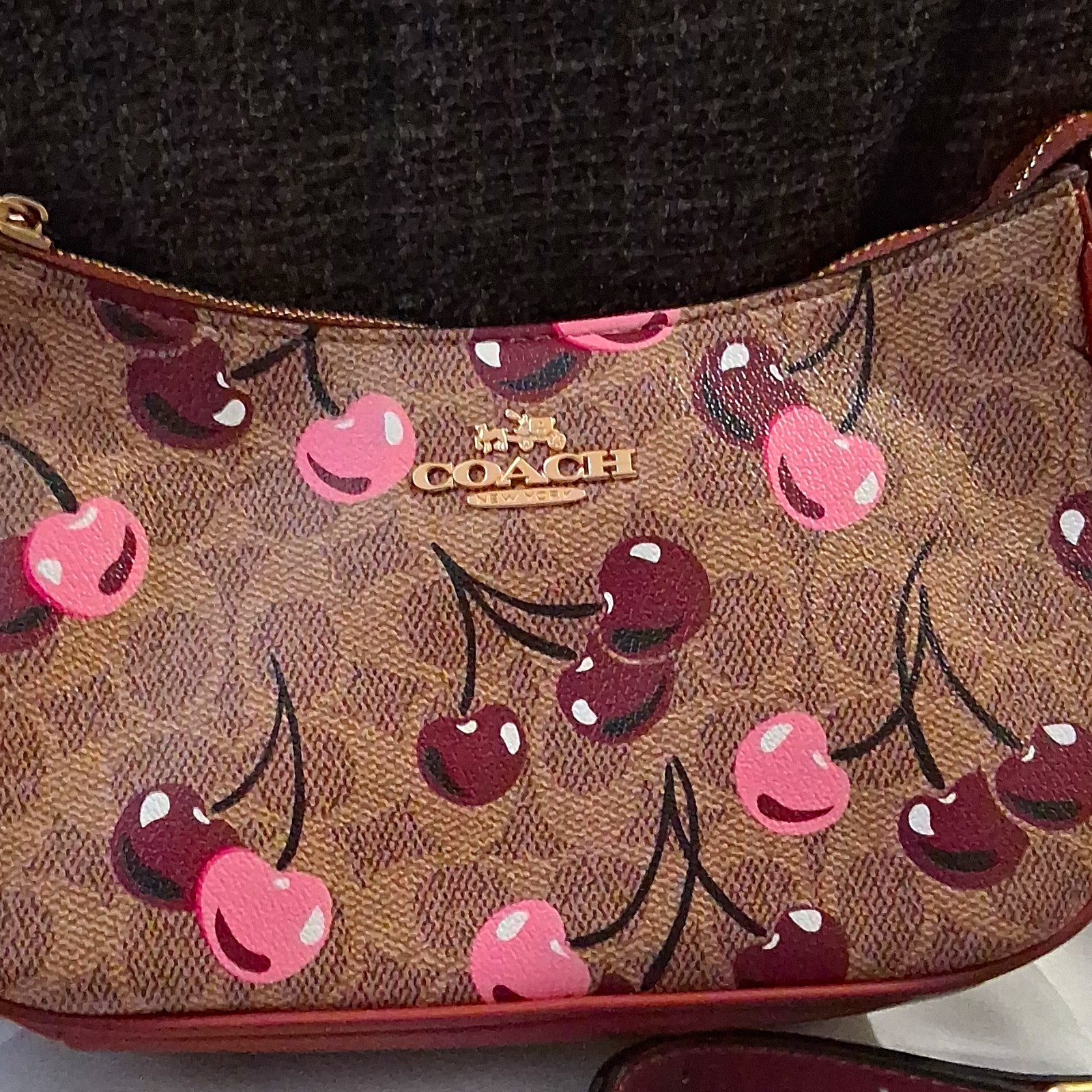 Coach Outlet Nolita Small Signature Canvas Cherry Print Zip Bag Detachable Strap