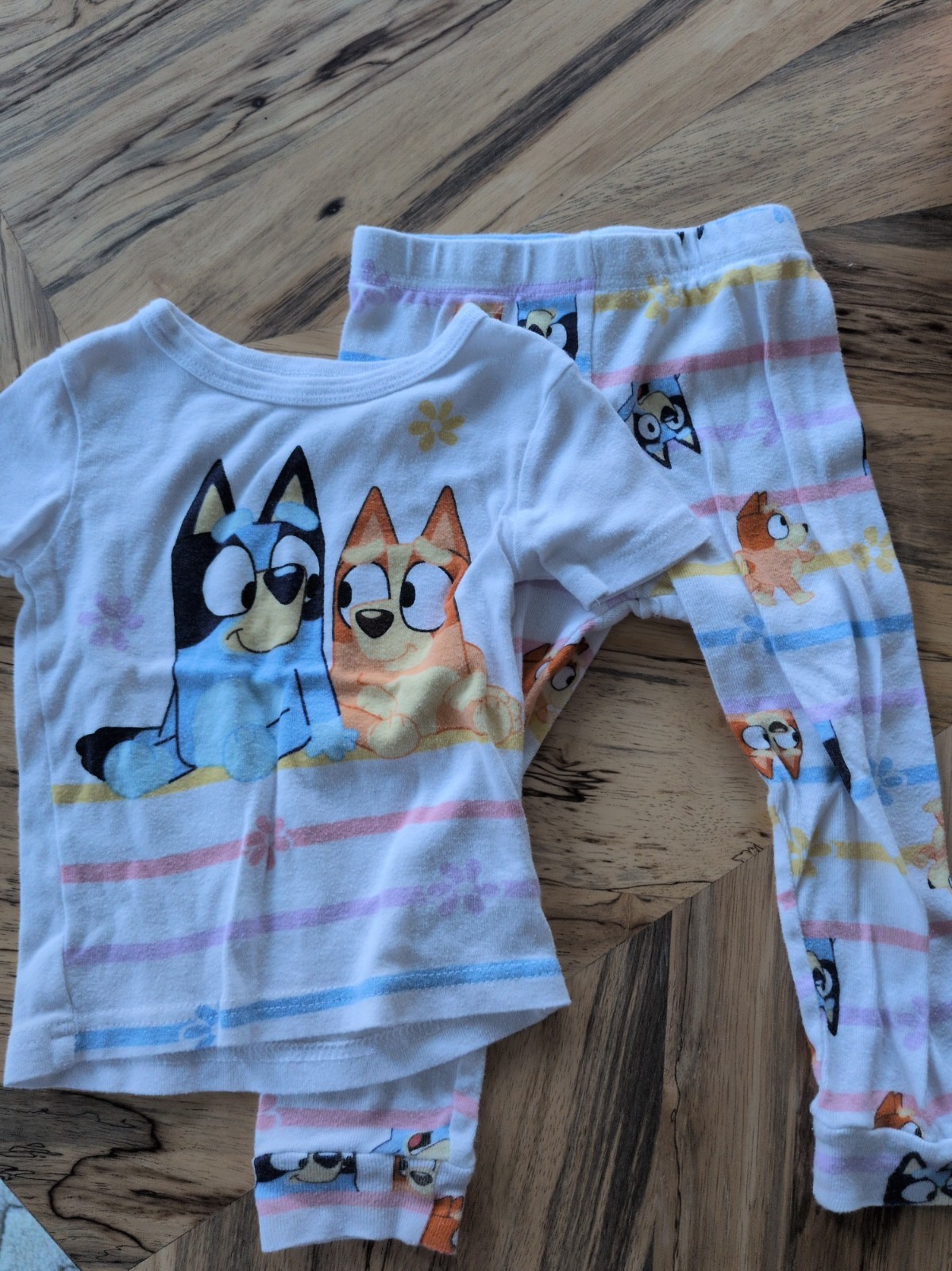 Bluey And Bingo Pajama Set 100% Cotton Size 3T Short Sleeves And Pants Guc