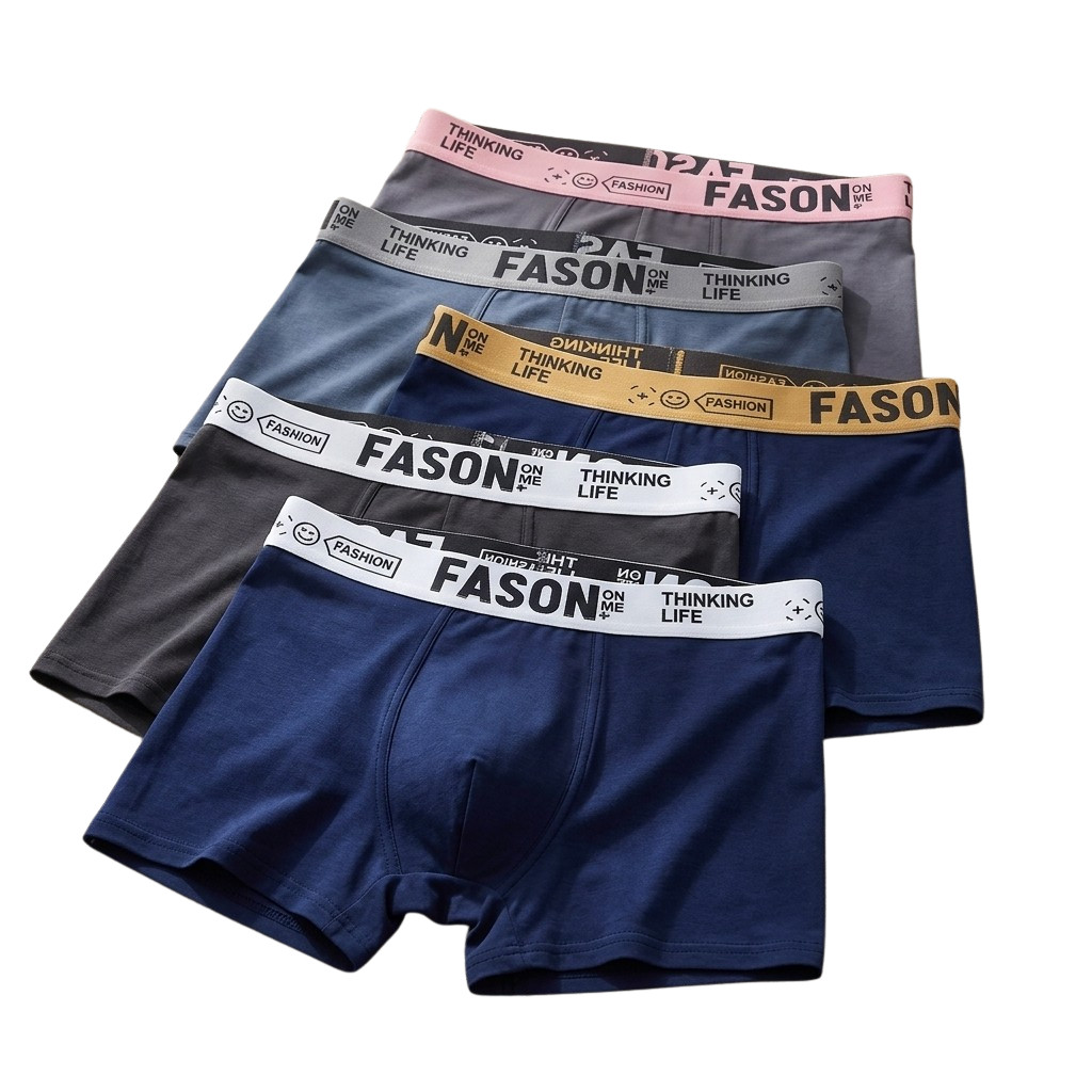 5 Pack Men's Summer Boxer Briefs, Soft Breathable Stretch Underwear S-2XL