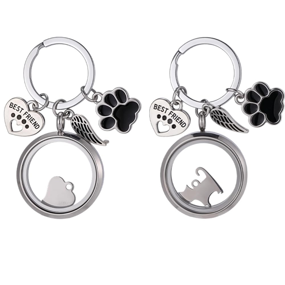 DELORIGIN 2PCS Cat Fur Keepsake Keychain Stainless Steel Pet Hair Memorial Keych