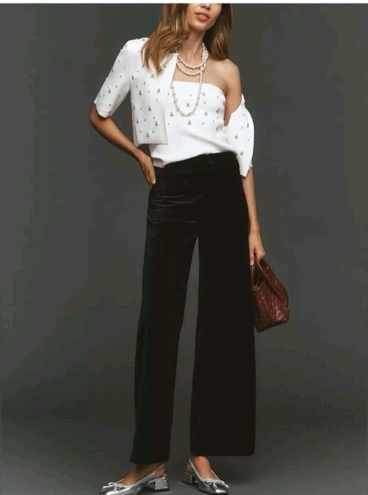Anthropologie Maeve The Colette Velvet Wide Leg Full Length Pants Black Size 28
