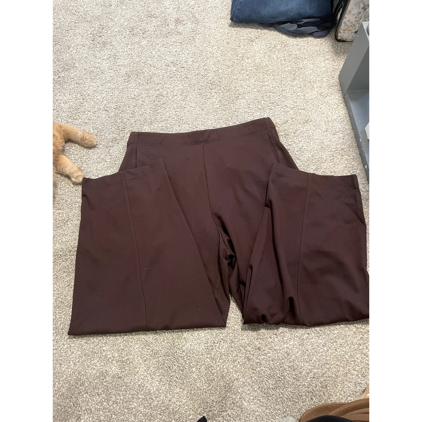 Max Studio Chocolate Brown Wide Leg Pant Size Large Office Causal