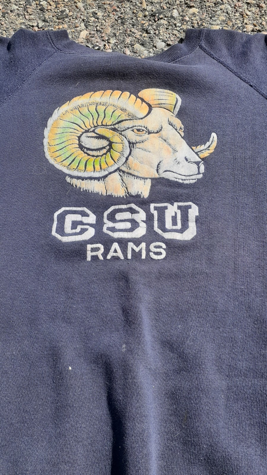 1950s - 60s Flock Printed Navy Colorado State University Crewneck Sweatshirt