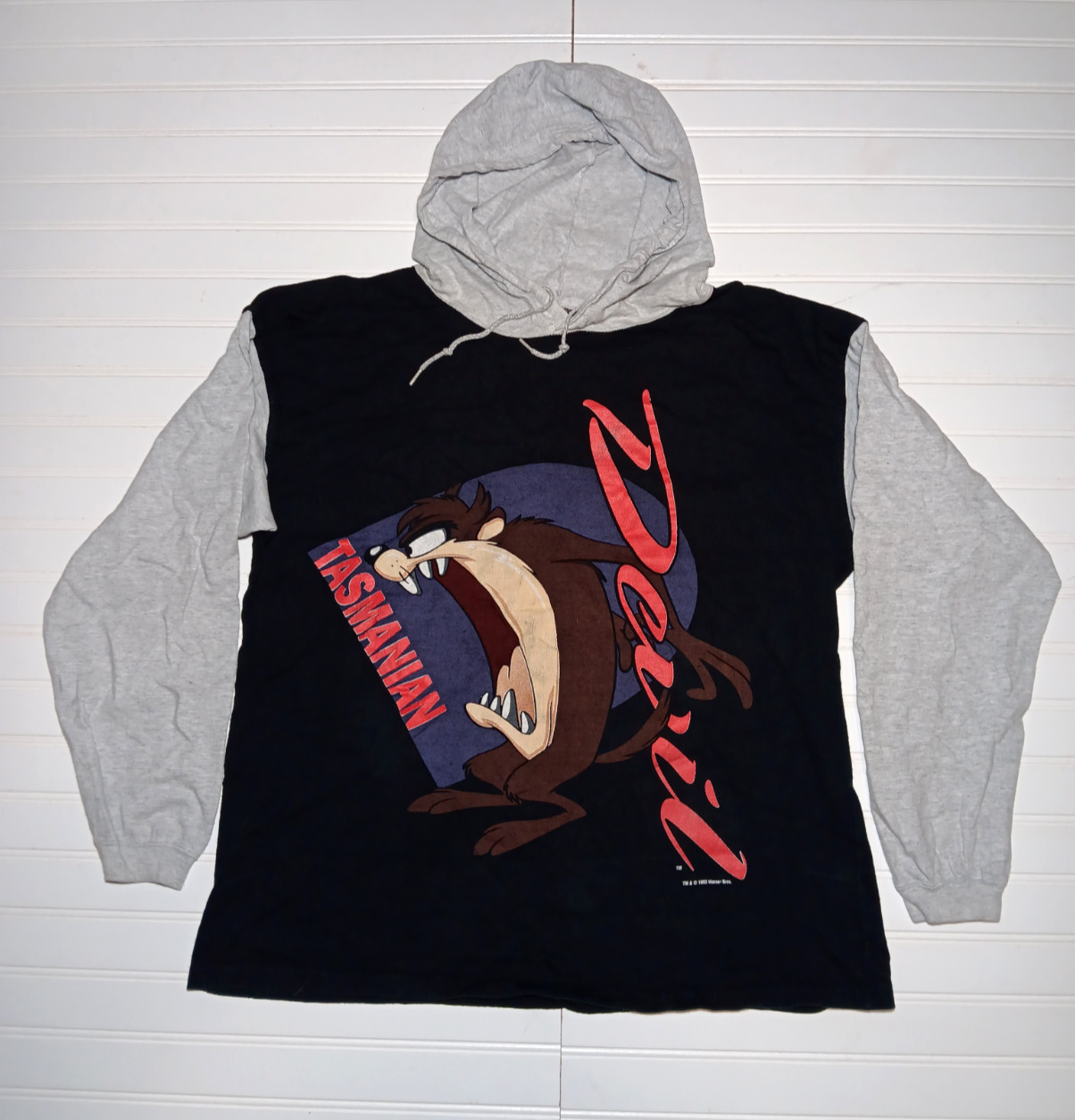 Vintage Jostens Sportswear Large 1993 Tasmanian Devil Long Sleeve Hooded T Shirt