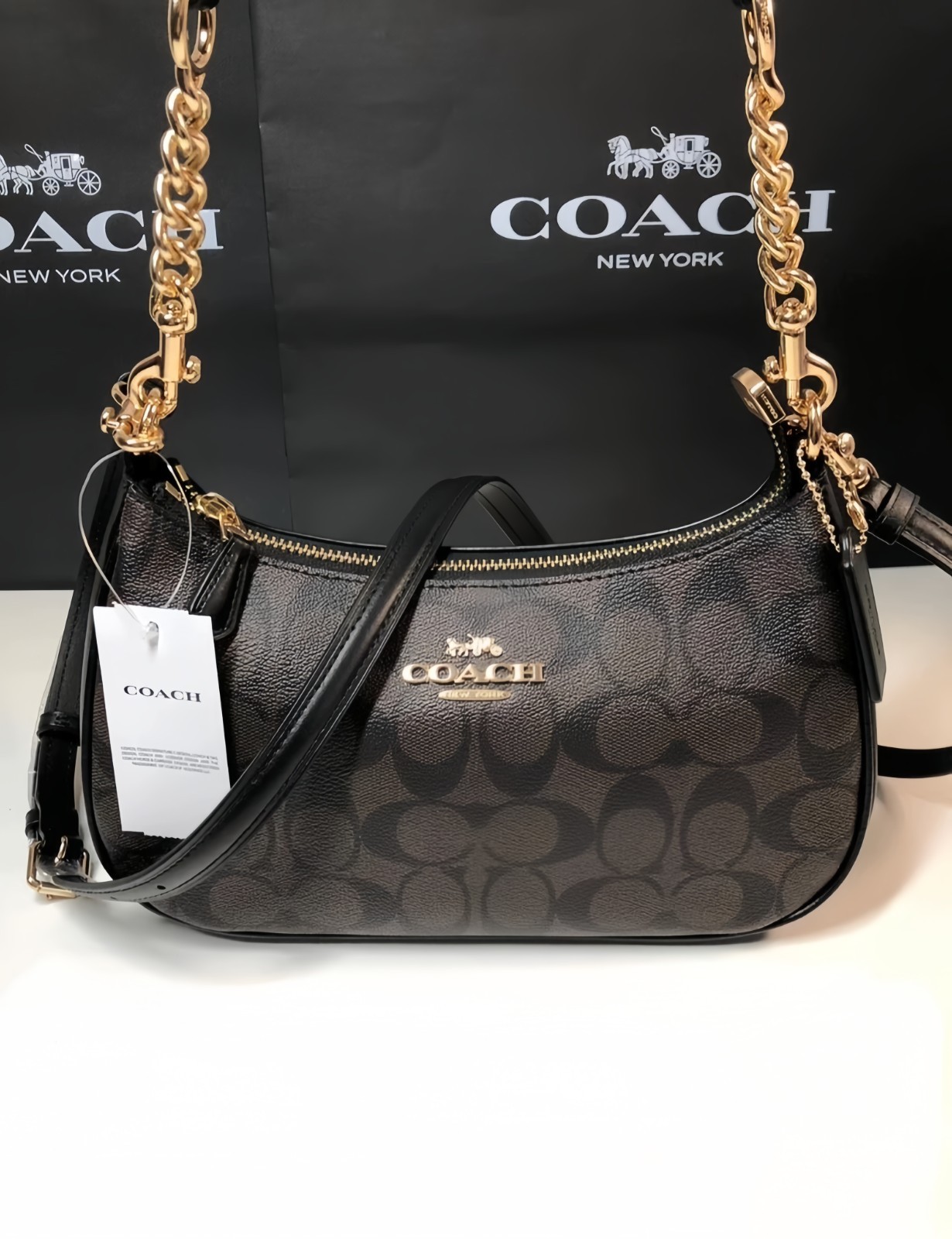 Coach Teri25 Full Leather Chain Brown Shoulder Bag