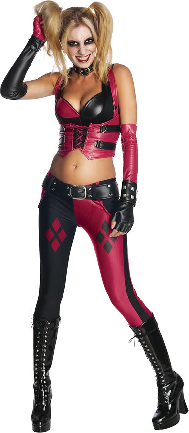 Rubies Harley Quinn Arkham City Womens Costume Small 4-6 Batman DC NEW 