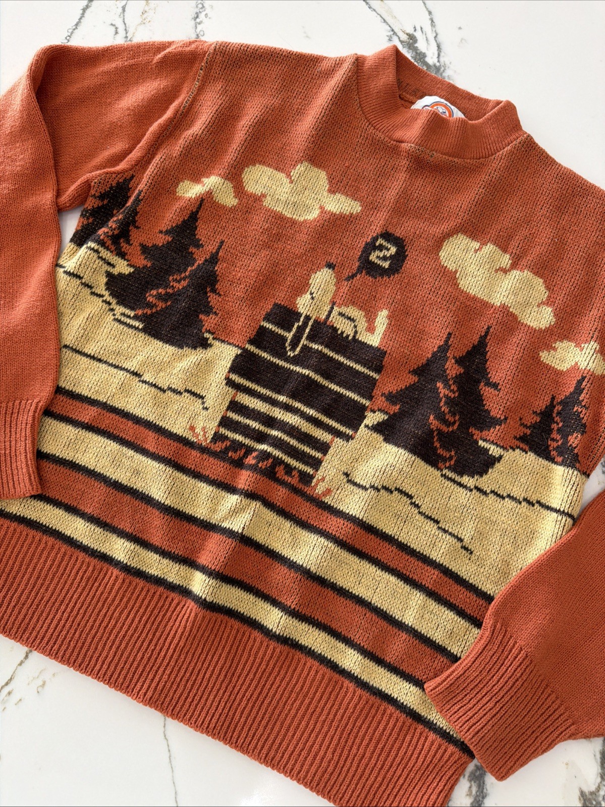RARE Vintage 70s Arrow Snoopy Knit Sweater Peanuts Worlds Greatest Turbo Orlon M