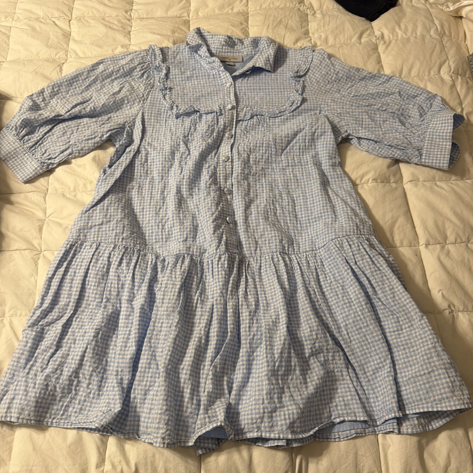 Target x Sandy Liang Blue/White Gingham Shirt Dress Collared Button Ruffle 3/4 L