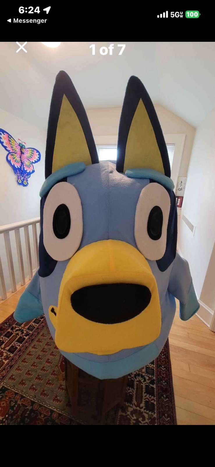 Bluey And Bingo Mascot Costume – Kids Birthday Party & Halloween Character –