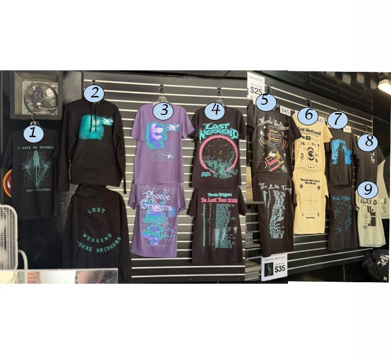 Phoebe Bridgers Alex G Concert Shirt Hoodie Lost Tour 2026 Merch Tee Reprint