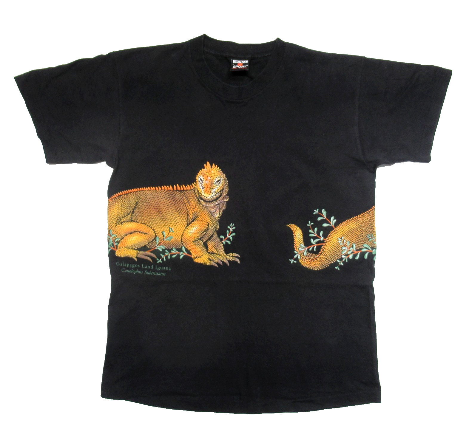 VTG Iguana T-shirt Tee M Wrap Around Graphic Textured Single Stitch Signal Sport