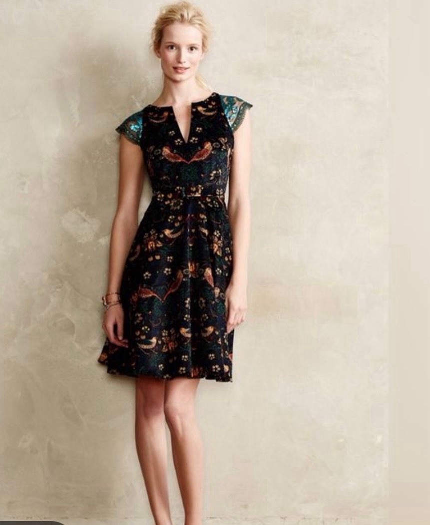 ANTHROPOLOGIE  Eva Franco larksong Corduroy Birds Sequin Dress size 6