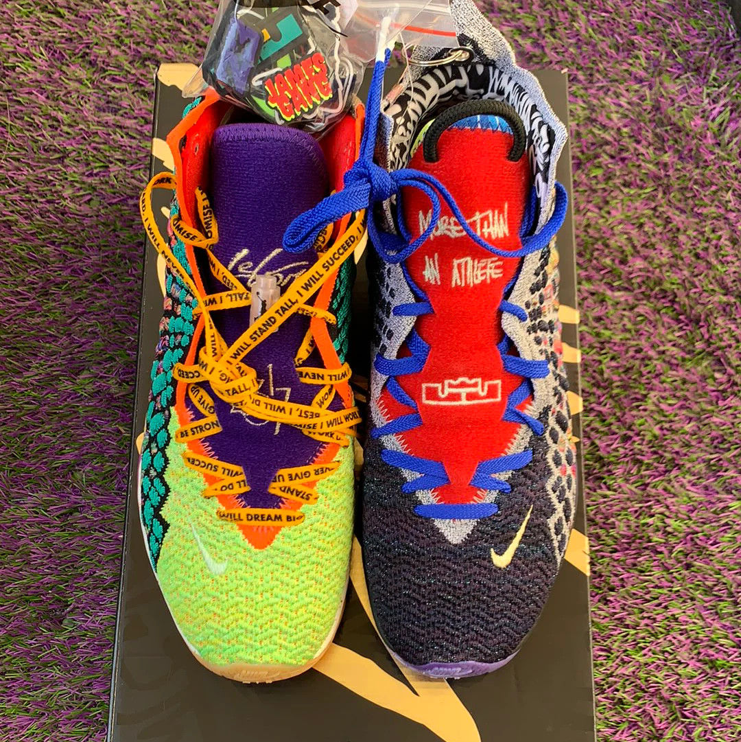 Nike LeBron 17 XVII What The WTW Men\'s Size 9.5 DS New