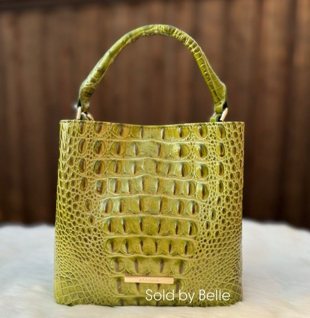 NWT Brahmin Mini Amelia Olive Melbourne Ombre Crossbody Handle Bag Purse $285