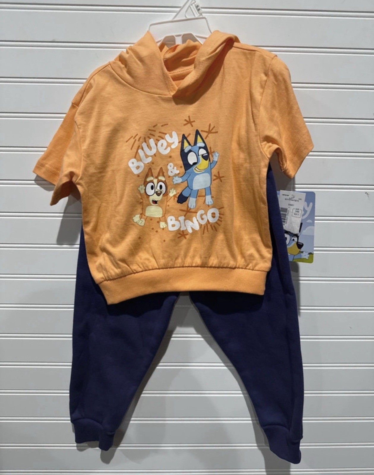 Bluey Bingo Disney Baby 24M 2 Piece Shirt Pants Outfit Set NWT