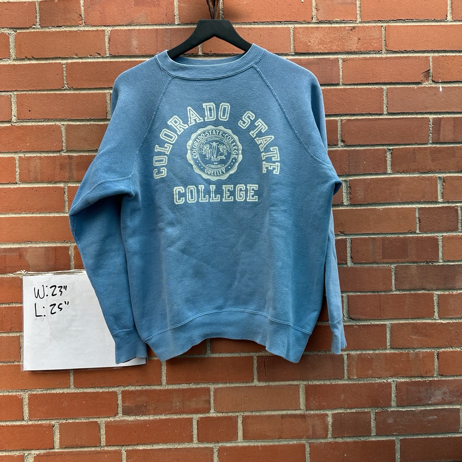 Vintage 60s Flock Print Sweatshirt Champion Running Man Baby Blue Great Size