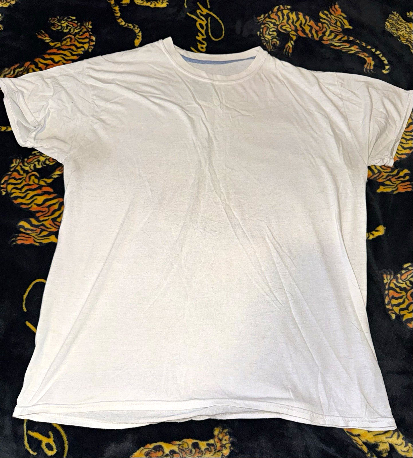 Hanes Men\'s White Solid Cotton Jersey Crew Neck Short Sleeve Tee M fits small