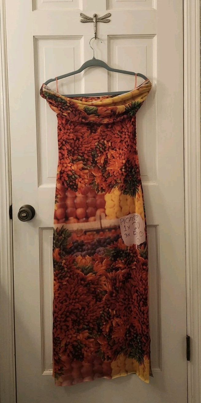 Viral ZARA Fruit Dress Off Shoulder Bodycon