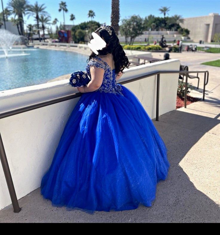 Girls Royal Blue Formal Ball Gown Dress, Embellished Bodice, Tulle Skirt 12-14
