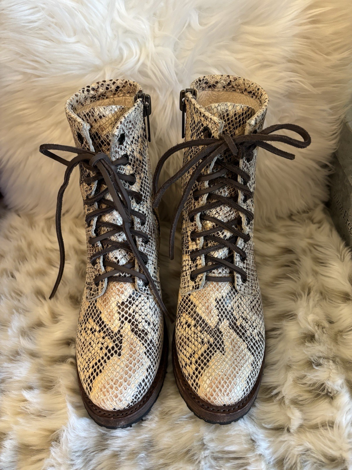 Freebird Cavalier Snake Print 7