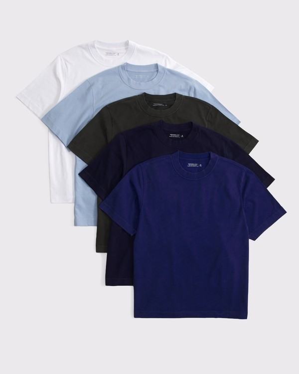 Abercrombie Men\'s 5 Pack Premium Heavyweight Tees blue haze multipack SALE