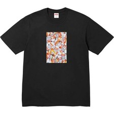 Supreme FW26 Pill Tee picture