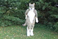 Realistic Wolf full body costume handmade picture