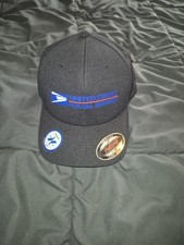 CUSTOM US Post Office Hat picture