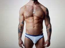 NWT NASTY PIG THIRD BASE PROFILE LOW RISE BRIEF/WHT/QUATZ BLU S/RECENT/SOLD OUT picture