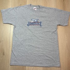 Vintage Anvil Johnson Space Center NASA T-Shirt Mens Large Gray Embroidered USA picture