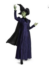 🔥DEAL🔥NWT Wicked Elphaba Deluxe (excellent Quality) ADULT Costume L (12-14) picture