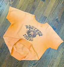 Vintage 50s 60s Pastuer Tigers Short Sleeve Sweatshirt  picture