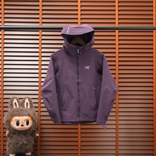 Arc’teryx Beta AR Jacket picture